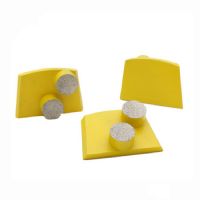 Lavina Diamond Grinding Shoes Diamond Grinding Disc With Two Round Segments for Concrete and Terrazzo Floor