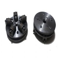 Diamond bush hammer for litch surface