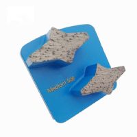 Redi Lock Diamond Grinding Shoes Husqvarna Grinding Disc with Two Star Segments for Concrete and Terrazzo Floor