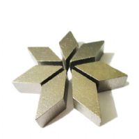 Two Rhombus Grinding Segment Renovating Diamond Abrasive Tools Concrete Floor Polishing Tip for HTC Suppliers