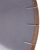 Competitive Price 300mm Diamond Saw Blade for Marble